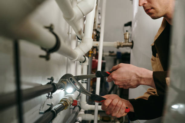 Best Plumbing Services Near Me  in Frent Hills, MO