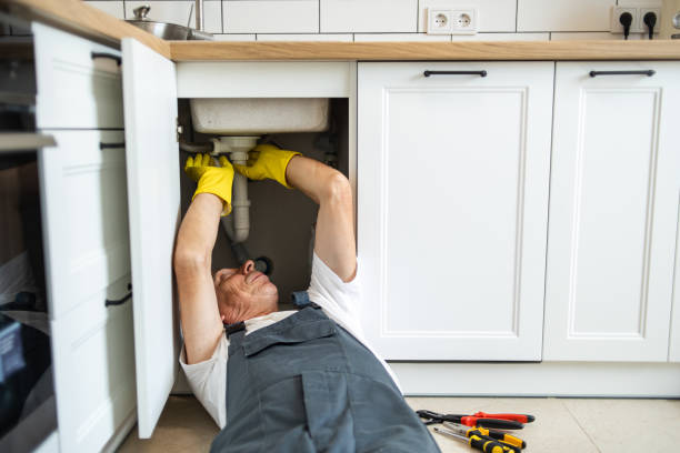 Best Local Plumber Services  in Frent Hills, MO
