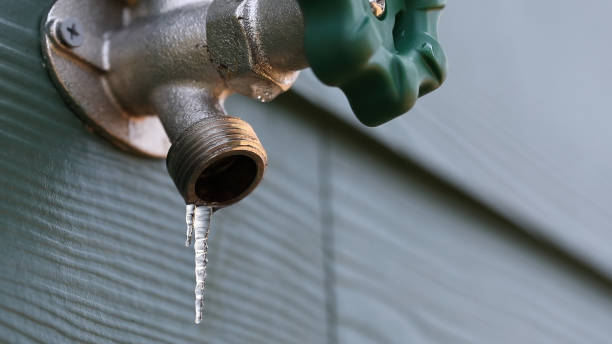 Best 24-Hour Plumber Near Me  in Frent Hills, MO